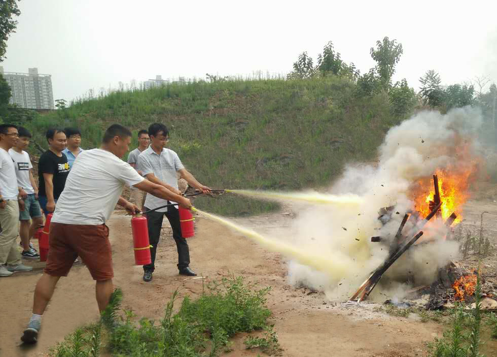 3063258068684146920.jpg 3063258068684146920.jpg