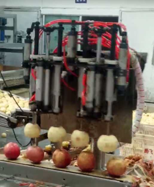 鼎興施工人員拍攝的水果去皮機 鼎興施工人員拍攝的水果去皮機
